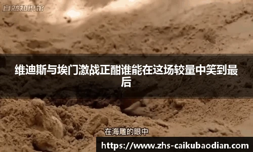 维迪斯与埃门激战正酣谁能在这场较量中笑到最后